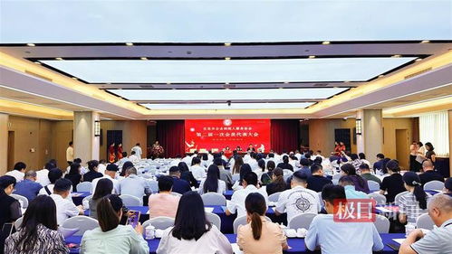 宜昌市企业纳税人服务协会顺利完成换届选举，百余会员共襄盛会