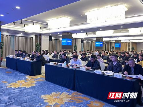 深化改革强服务，擘画健康新蓝图——株洲市2026年全市卫生健康工作会议圆满召开